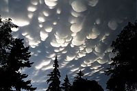 Trek.Today search results: clouds formation