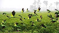 Trek.Today search results: National Geographic Photography