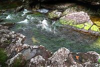 Trek.Today search results: Caño Cristales, The River of Five Colors, Serrania de la Macarena, Meta, Colombia