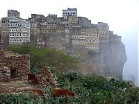 World & Travel: Socotra archipelago, Republic of Yemen, Indian Ocean