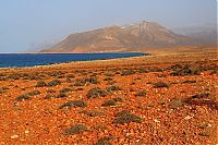 World & Travel: Socotra archipelago, Republic of Yemen, Indian Ocean