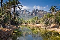 World & Travel: Socotra archipelago, Republic of Yemen, Indian Ocean