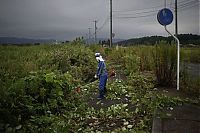 Trek.Today search results: Namie, Futaba District, Fukushima Prefecture, Japan