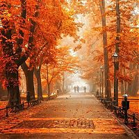 Trek.Today search results: autumn world