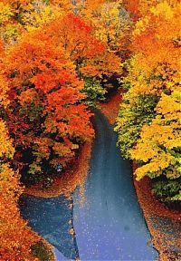 Trek.Today search results: autumn world