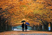 World & Travel: autumn world