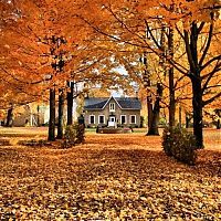 World & Travel: autumn world