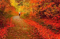 World & Travel: autumn world