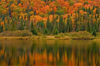 Trek.Today search results: autumn world