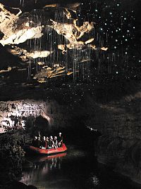 World & Travel: Waitomo Glowworm Caves, Waitomo, North Island, New Zealand