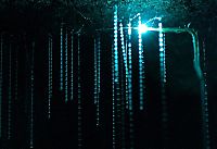 World & Travel: Waitomo Glowworm Caves, Waitomo, North Island, New Zealand