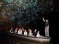 Waitomo Glowworm Caves, Waitomo, North Island, New Zealand