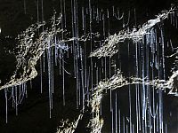 Trek.Today search results: Waitomo Glowworm Caves, Waitomo, North Island, New Zealand