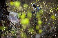 Trek.Today search results: Coca plant farmers, Peruvian mountains, Peru