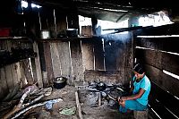 World & Travel: Coca plant farmers, Peruvian mountains, Peru