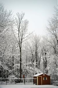 Trek.Today search results: winter photography