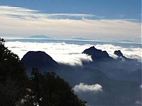 Trek.Today search results: Grand Canyon covered in fog, Arizona, United States