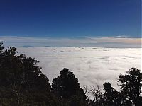 Grand Canyon covered in fog, Arizona, United States