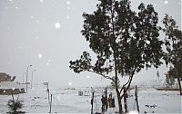 World & Travel: 2013 Middle East cold snap, Alexa winter storm, Cairo, Egypt