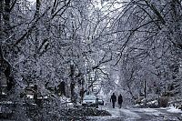 Trek.Today search results: 2013 Central and Eastern Canada ice storm, Toronto, Ontario, Canada
