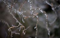 Trek.Today search results: 2013 Central and Eastern Canada ice storm, Toronto, Ontario, Canada