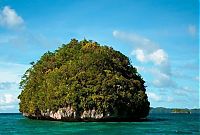 World & Travel: Jellyfish Lake, Eil Malk island, Palau, Pacific Ocean