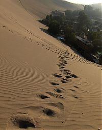 Trek.Today search results: Huacachina, Oasis of America, Ica Region, Peru