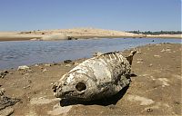 Folsom Lake reservoir, Sacramento, American River, Northern California, United States