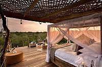 World & Travel: Lion Sands Private Game Reserve, Kruger National Park, South Africa