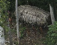 Trek.Today search results: Lost uncontacted tribe, Alto Tarauacá, Acre state, Brazil