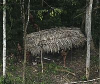 World & Travel: Lost uncontacted tribe, Alto Tarauacá, Acre state, Brazil