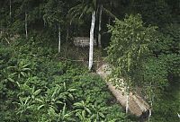 World & Travel: Lost uncontacted tribe, Alto Tarauacá, Acre state, Brazil