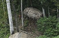 Lost uncontacted tribe, Alto Tarauacá, Acre state, Brazil