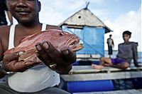 Trek.Today search results: Life in Philippines