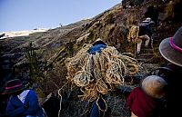 World & Travel: Cusco Inca rope bridge, Apurimac Canyon, Cuzco Province, Peru