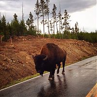 Trek.Today search results: National Geographic Photography