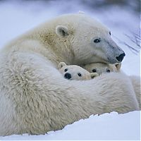 Trek.Today search results: National Geographic Photography