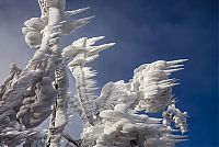 Trek.Today search results: Extreme windswept ice formations by Marko Korošec, Mount Javornik, Dinarides, Slovenia