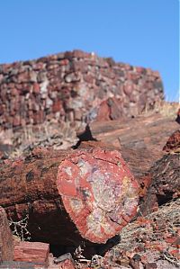 World & Travel: Petrified Forest National Park, Navajo, Apache, Arizona, United States