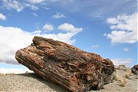 World & Travel: Petrified Forest National Park, Navajo, Apache, Arizona, United States