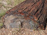 Trek.Today search results: Petrified Forest National Park, Navajo, Apache, Arizona, United States