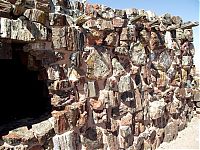 World & Travel: Petrified Forest National Park, Navajo, Apache, Arizona, United States