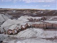 World & Travel: Petrified Forest National Park, Navajo, Apache, Arizona, United States