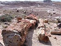 Trek.Today search results: Petrified Forest National Park, Navajo, Apache, Arizona, United States