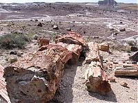 Petrified Forest National Park, Navajo, Apache, Arizona, United States