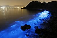 World & Travel: Bioluminescent phytoplankton, Hong Kong, China