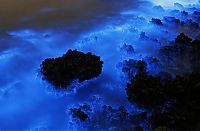 World & Travel: Bioluminescent phytoplankton, Hong Kong, China