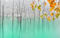 World & Travel: Aoiike, Blue Pond, Biei, Shirogane Onsen, Kamikawa (Ishikari) District, Hokkaido, Japan