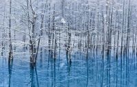 World & Travel: Aoiike, Blue Pond, Biei, Shirogane Onsen, Kamikawa (Ishikari) District, Hokkaido, Japan