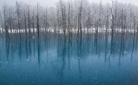 World & Travel: Aoiike, Blue Pond, Biei, Shirogane Onsen, Kamikawa (Ishikari) District, Hokkaido, Japan